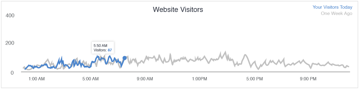 Website Visitors